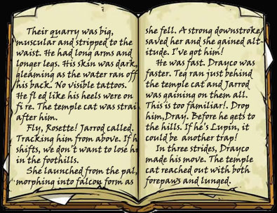 Sample text of audio excerpt - Journey by Night by Kim Falconer