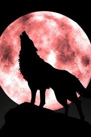 wolf moon